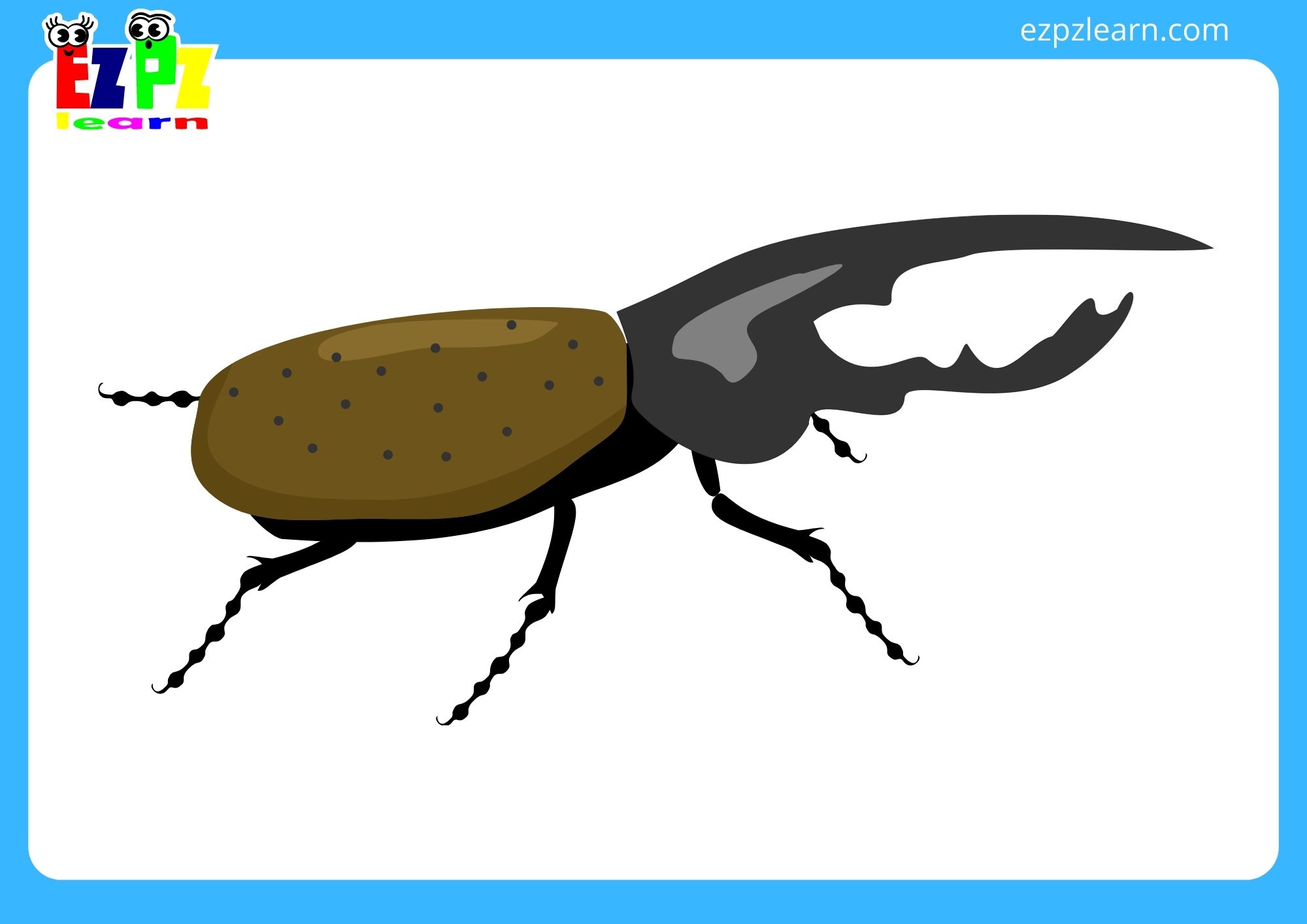 rhino beetle